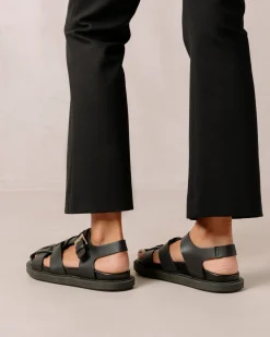 Backbone Black Clog