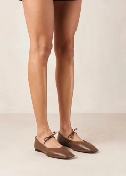 Sway Chestnut Brown Leather Ballet Flats
