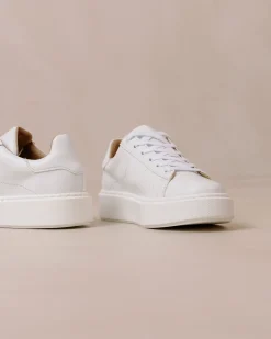 Tb.65 Apple Bright White